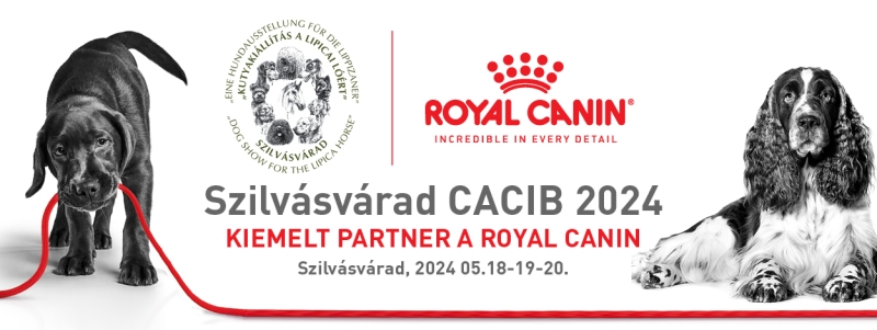 3 x CACIB Nemzetközi Kutyakiállítás