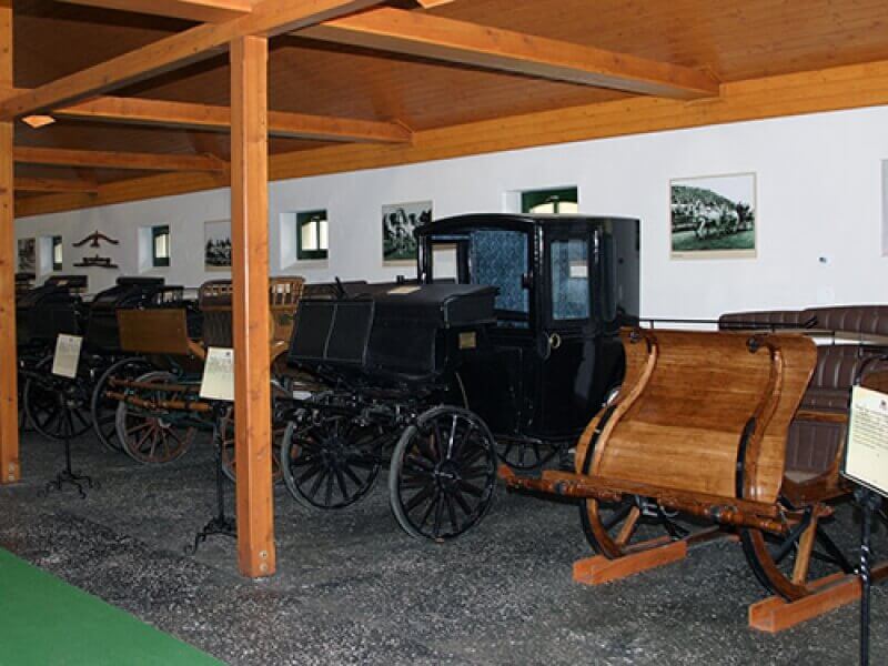 Horse Carriage Museum